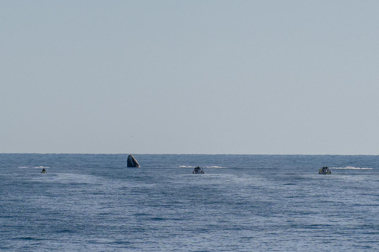 Support teams work around a SpaceX Dragon spacecraft shortly after it landed with NASA astronauts Nick Hague, Suni Williams, Butch Wilmore, and Roscosmos cosmonaut Aleksandr Gorbunov aboard in the water off the coast of Tallahassee, Florida, Tuesday, March 18,2025. Hague, Gorbunov, Williams, and Wilmore are returning from a long-duration science expedition aboard the International Space Station. Photo Credit: (NASA/Keegan Barber)