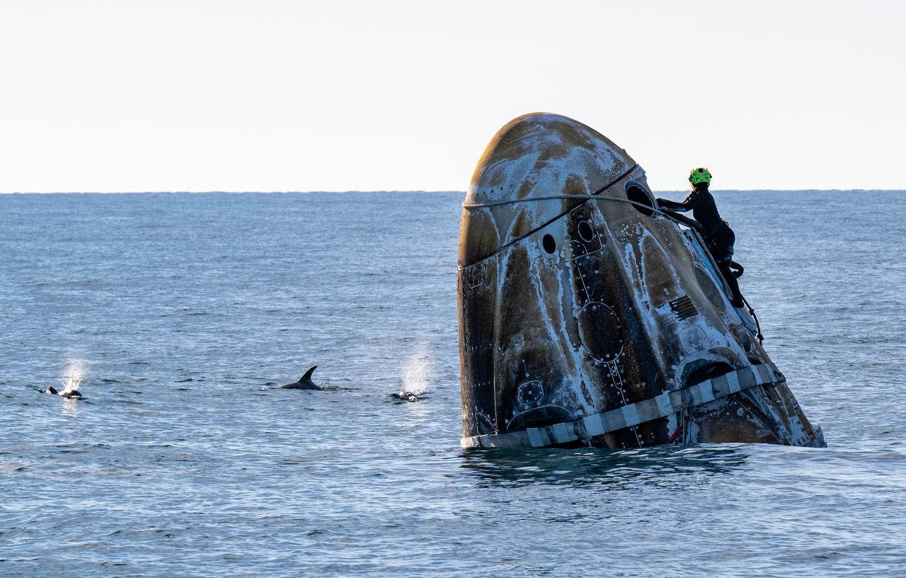 Support teams work around a SpaceX Dragon spacecraft shortly after it landed with NASA astronauts Nick Hague, Suni Williams, Butch Wilmore, and Roscosmos cosmonaut Aleksandr Gorbunov aboard in the water off the coast of Tallahassee, Florida, Tuesday, March 18, 2025. Hague, Gorbunov, Williams, and Wilmore are returning from a long-duration science expedition aboard the International Space Station. Photo Credit: (NASA/Keegan Barber)