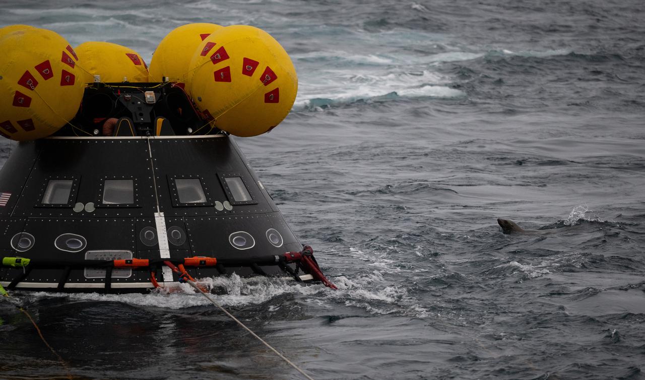 A marine mammal swims past the Crew Module Test Article (CMTA), a full scale replica of the Orion spacecraft, as teams practice Artemis recovery operations during Underway Recovery Test-12 onboard USS Somerset off the coast of California, Thursday, March 27, 2025. During the test, NASA and Department of Defense teams are practicing to ensure recovery procedures are validated as NASA plans to send the Artemis II astronauts around the Moon and splashdown in the Pacific Ocean.  Photo Credit: (NASA/Joel Kowsky)