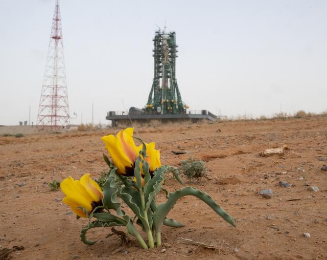 NASA image: Expedition 73 Preflight