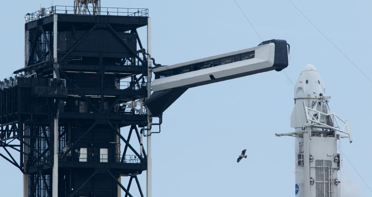 A SpaceX Falcon 9 rocket carrying the company's Dragon spacecraft is seen on the launch pad at Launch Complex 39A after the launch attempt was scrubbed, Thursday, July 31, 2025, at NASA's Kennedy Space Center in Florida. NASA’s SpaceX Crew-11 mission is the eleventh crew rotation mission of the SpaceX Dragon spacecraft and Falcon 9 rocket to the International Space Station as part of the agency’s Commercial Crew Program. Today’s launch of NASA astronauts Zena Cardman, Mike Fincke, JAXA (Japan Aerospace Exploration Agency) astronaut Kimiya Yui, and Roscosmos cosmonaut Oleg Platonov was scrubbed due to weather and is now scheduled for 11:43 a.m. EDT on Friday, August 1. Photo Credit: (NASA/Joel Kowsky)
