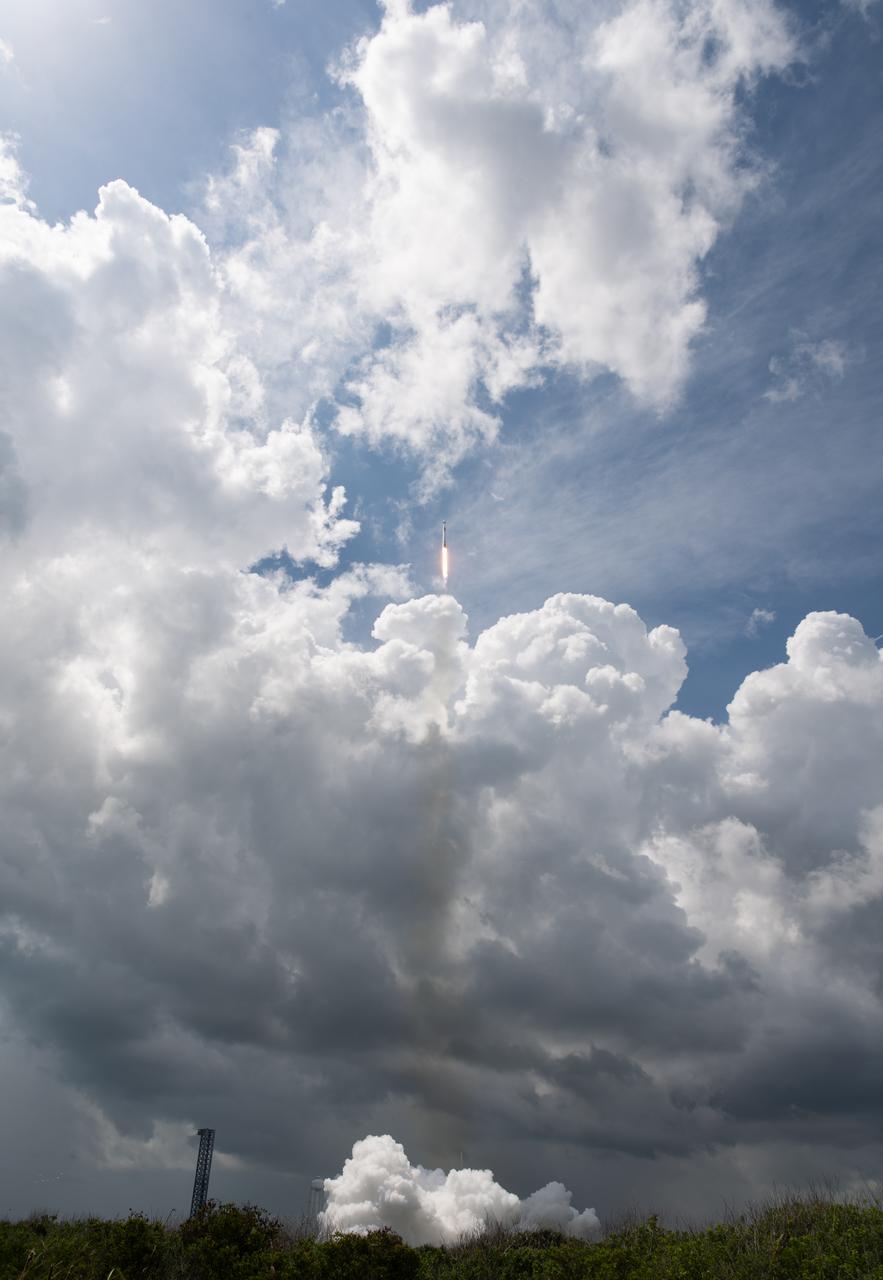 A SpaceX Falcon 9 rocket carrying the company's Dragon spacecraft is launched on NASA’s SpaceX Crew-11 mission to the International Space Station with NASA astronauts Zena Cardman, Mike Fincke, JAXA (Japan Aerospace Exploration Agency) astronaut Kimiya Yui, and Roscosmos cosmonaut Oleg Platonov onboard, Friday, Aug. 1, 2025, from NASA's Kennedy Space Center in Florida. NASA’s SpaceX Crew-11 mission is the eleventh crew rotation mission of the SpaceX Dragon spacecraft and Falcon 9 rocket to the International Space Station as part of the agency’s Commercial Crew Program. Cardman, Fincke, Yui, Platonov launched at 11:43 a.m. EDT from Launch Complex 39A at the NASA's Kennedy Space Center to begin a six month mission aboard the orbital outpost. Photo Credit: (NASA/Joel Kowsky)