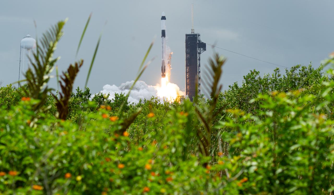A SpaceX Falcon 9 rocket carrying the company's Dragon spacecraft is launched on NASA’s SpaceX Crew-11 mission to the International Space Station with NASA astronauts Zena Cardman, Mike Fincke, JAXA (Japan Aerospace Exploration Agency) astronaut Kimiya Yui, and Roscosmos cosmonaut Oleg Platonov onboard, Friday, Aug. 1, 2025, from NASA's Kennedy Space Center in Florida. NASA’s SpaceX Crew-11 mission is the eleventh crew rotation mission of the SpaceX Dragon spacecraft and Falcon 9 rocket to the International Space Station as part of the agency’s Commercial Crew Program. Cardman, Fincke, Yui, Platonov launched at 11:43 a.m. EDT from Launch Complex 39A at the NASA's Kennedy Space Center to begin a six month mission aboard the orbital outpost. Photo Credit: (NASA/Joel Kowsky)