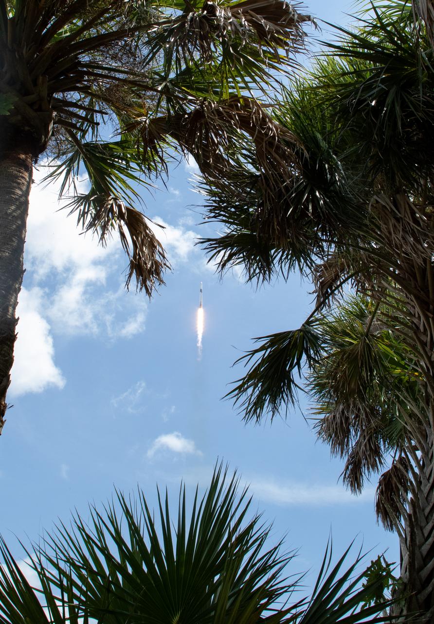 A SpaceX Falcon 9 rocket carrying the company's Dragon spacecraft is launched on NASA’s SpaceX Crew-11 mission to the International Space Station with NASA astronauts Zena Cardman, Mike Fincke, JAXA (Japan Aerospace Exploration Agency) astronaut Kimiya Yui, and Roscosmos cosmonaut Oleg Platonov onboard, Friday, Aug. 1, 2025, from NASA's Kennedy Space Center in Florida. NASA’s SpaceX Crew-11 mission is the eleventh crew rotation mission of the SpaceX Dragon spacecraft and Falcon 9 rocket to the International Space Station as part of the agency’s Commercial Crew Program. Cardman, Fincke, Yui, Platonov launched at 11:43 a.m. EDT from Launch Complex 39A at the NASA's Kennedy Space Center to begin a six month mission aboard the orbital outpost. Photo Credit: (NASA/Joel Kowsky)