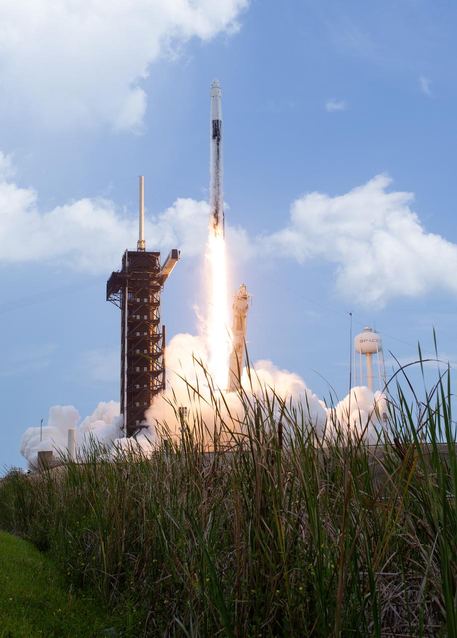 A SpaceX Falcon 9 rocket carrying the company's Dragon spacecraft is launched on NASA’s SpaceX Crew-11 mission to the International Space Station with NASA astronauts Zena Cardman, Mike Fincke, JAXA (Japan Aerospace Exploration Agency) astronaut Kimiya Yui, and Roscosmos cosmonaut Oleg Platonov onboard, Friday, Aug. 1, 2025, from NASA's Kennedy Space Center in Florida. NASA’s SpaceX Crew-11 mission is the eleventh crew rotation mission of the SpaceX Dragon spacecraft and Falcon 9 rocket to the International Space Station as part of the agency’s Commercial Crew Program. Cardman, Fincke, Yui, Platonov launched at 11:43 a.m. EDT from Launch Complex 39A at the NASA's Kennedy Space Center to begin a six month mission aboard the orbital outpost. Photo Credit: (NASA/Joel Kowsky)
