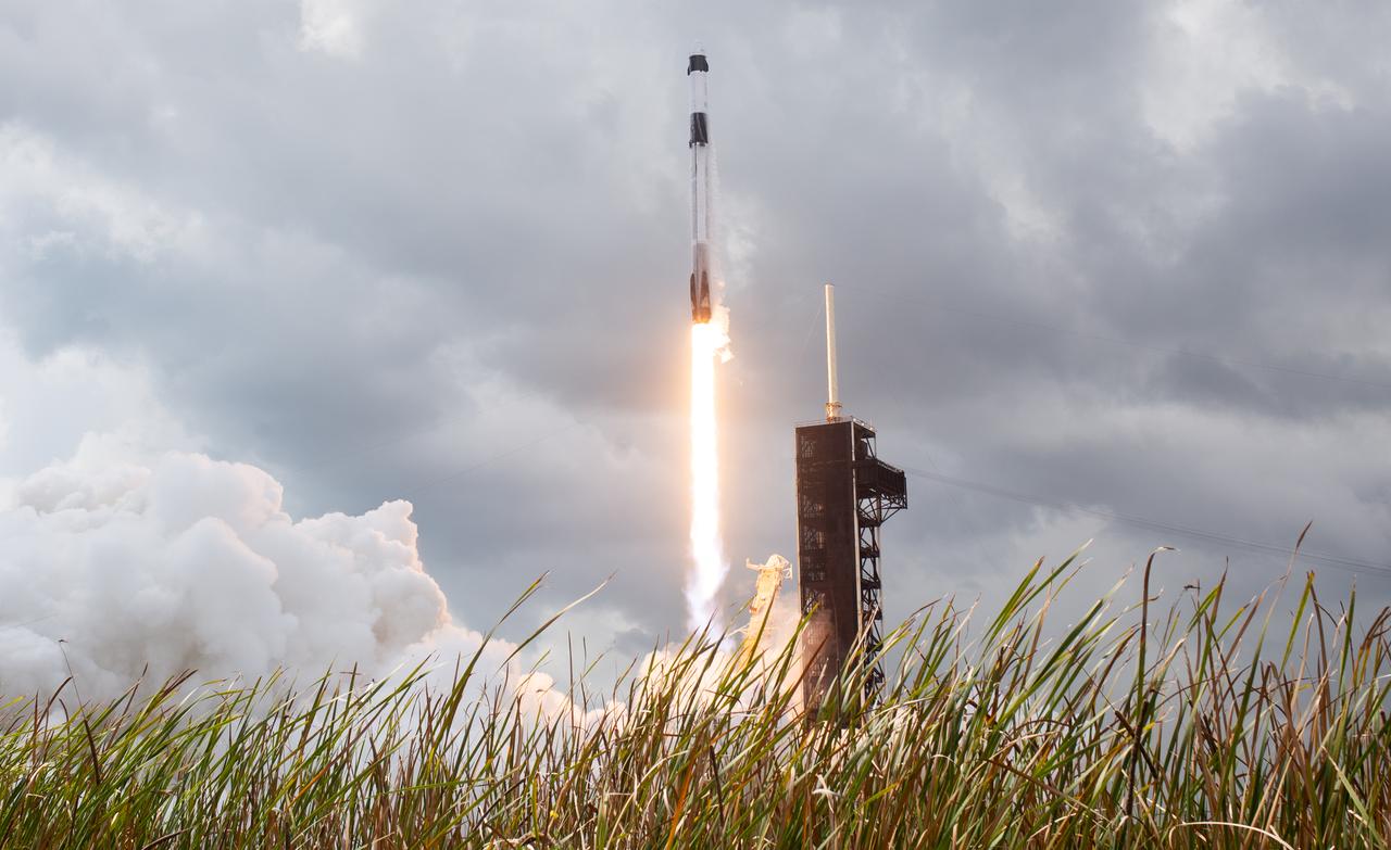A SpaceX Falcon 9 rocket carrying the company's Dragon spacecraft is launched on NASA’s SpaceX Crew-11 mission to the International Space Station with NASA astronauts Zena Cardman, Mike Fincke, JAXA (Japan Aerospace Exploration Agency) astronaut Kimiya Yui, and Roscosmos cosmonaut Oleg Platonov onboard, Friday, Aug. 1, 2025, from NASA's Kennedy Space Center in Florida. NASA’s SpaceX Crew-11 mission is the eleventh crew rotation mission of the SpaceX Dragon spacecraft and Falcon 9 rocket to the International Space Station as part of the agency’s Commercial Crew Program. Cardman, Fincke, Yui, Platonov launched at 11:43 a.m. EDT from Launch Complex 39A at the NASA's Kennedy Space Center to begin a six month mission aboard the orbital outpost. Photo Credit: (NASA/Joel Kowsky)