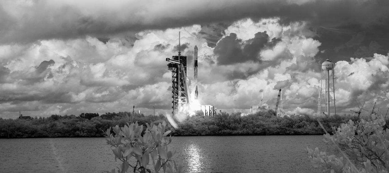 In this black and white infrared image, a SpaceX Falcon 9 rocket carrying the company's Dragon spacecraft is launched on NASA’s SpaceX Crew-11 mission to the International Space Station with NASA astronauts Zena Cardman, Mike Fincke, JAXA (Japan Aerospace Exploration Agency) astronaut Kimiya Yui, and Roscosmos cosmonaut Oleg Platonov onboard, Friday, Aug. 1, 2025, from NASA's Kennedy Space Center in Florida. NASA’s SpaceX Crew-11 mission is the eleventh crew rotation mission of the SpaceX Dragon spacecraft and Falcon 9 rocket to the International Space Station as part of the agency’s Commercial Crew Program. Cardman, Fincke, Yui, Platonov launched at 11:43 a.m. EDT from Launch Complex 39A at the NASA's Kennedy Space Center to begin a six month mission aboard the orbital outpost. Photo Credit: (NASA/Joel Kowsky)
