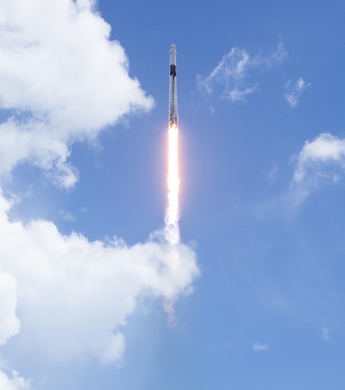 A SpaceX Falcon 9 rocket carrying the company's Dragon spacecraft is launched on NASA’s SpaceX Crew-11 mission to the International Space Station with NASA astronauts Zena Cardman, Mike Fincke, JAXA (Japan Aerospace Exploration Agency) astronaut Kimiya Yui, and Roscosmos cosmonaut Oleg Platonov onboard, Friday, Aug. 1, 2025, from NASA's Kennedy Space Center in Florida. NASA’s SpaceX Crew-11 mission is the eleventh crew rotation mission of the SpaceX Dragon spacecraft and Falcon 9 rocket to the International Space Station as part of the agency’s Commercial Crew Program. Cardman, Fincke, Yui, Platonov launched at 11:43 a.m. EDT from Launch Complex 39A at the NASA's Kennedy Space Center to begin a six month mission aboard the orbital outpost. Photo Credit: (NASA/Joel Kowsky)