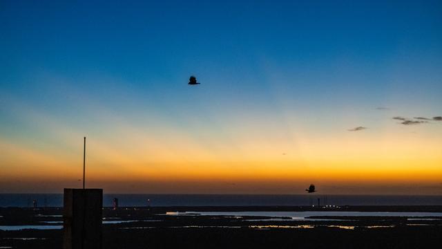 NASA image: Artemis II Countdown Demonstration Test