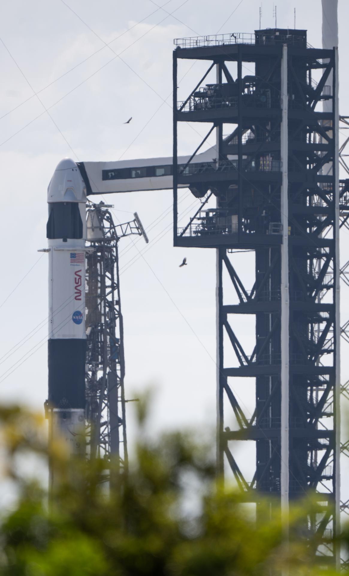 A SpaceX Falcon 9 rocket with the company's Dragon spacecraft on top is seen on the launch pad at Space Launch Complex 40 as preparations continue for the Crew-13 mission, Wednesday, Sept. 30, 2026, at Cape Canaveral Space Force Station in Florida. NASA’s SpaceX Crew-13 mission is the 13th crew rotation mission of the SpaceX Dragon spacecraft and Falcon 9 rocket to the International Space Station as part of the agency’s Commercial Crew Program. NASA astronauts Jessica Watkins and Luke Delaney, CSA (Canadian Space Agency) astronaut Joshua Kutryk, and Roscosmos cosmonaut Sergey Teteryatnikov are scheduled to launch at 11:10 a.m. EDT on Thursday, Oct. 1, from Space Launch Complex 40 at the Cape Canaveral Space Force Station. Photo Credit: (NASA/Joel Kowsky)