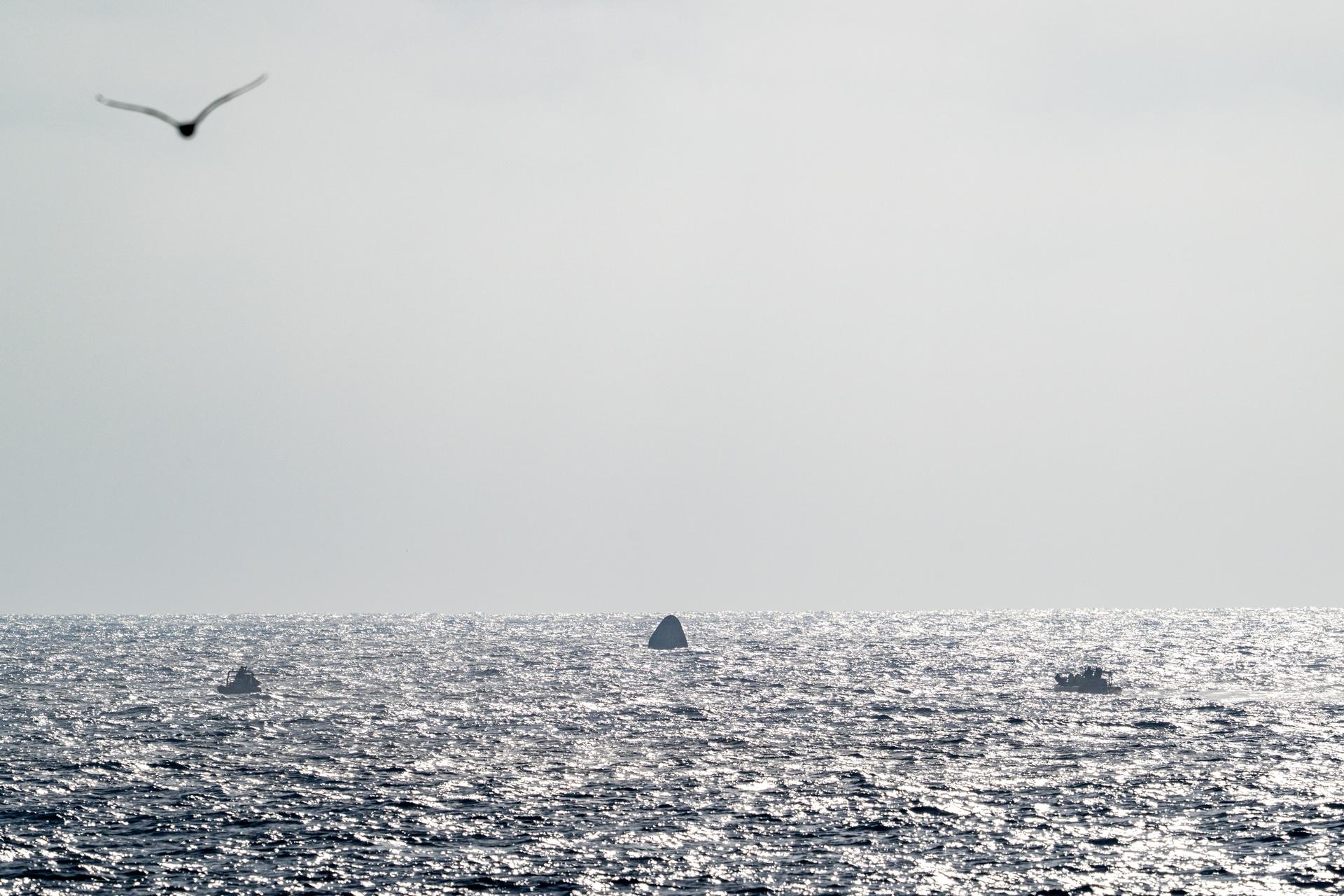 Support teams work around the SpaceX Dragon Freedom spacecraft shortly after it landed with NASA astronauts Jessica Meir, Jack Hathaway, ESA (European Space Agency) astronaut Sophie Adenot, and Roscosmos cosmonaut Andrey Fedyaev aboard in the Pacific Ocean off the coast of Los Angeles, Calif., Thursday, Oct. 8,2026. Meir, Hathaway, Adenot, and Fedyaev are returning after seven-months in space as part of Expedition 74 aboard the International Space Station. Photo Credit: (NASA/Keegan Barber)