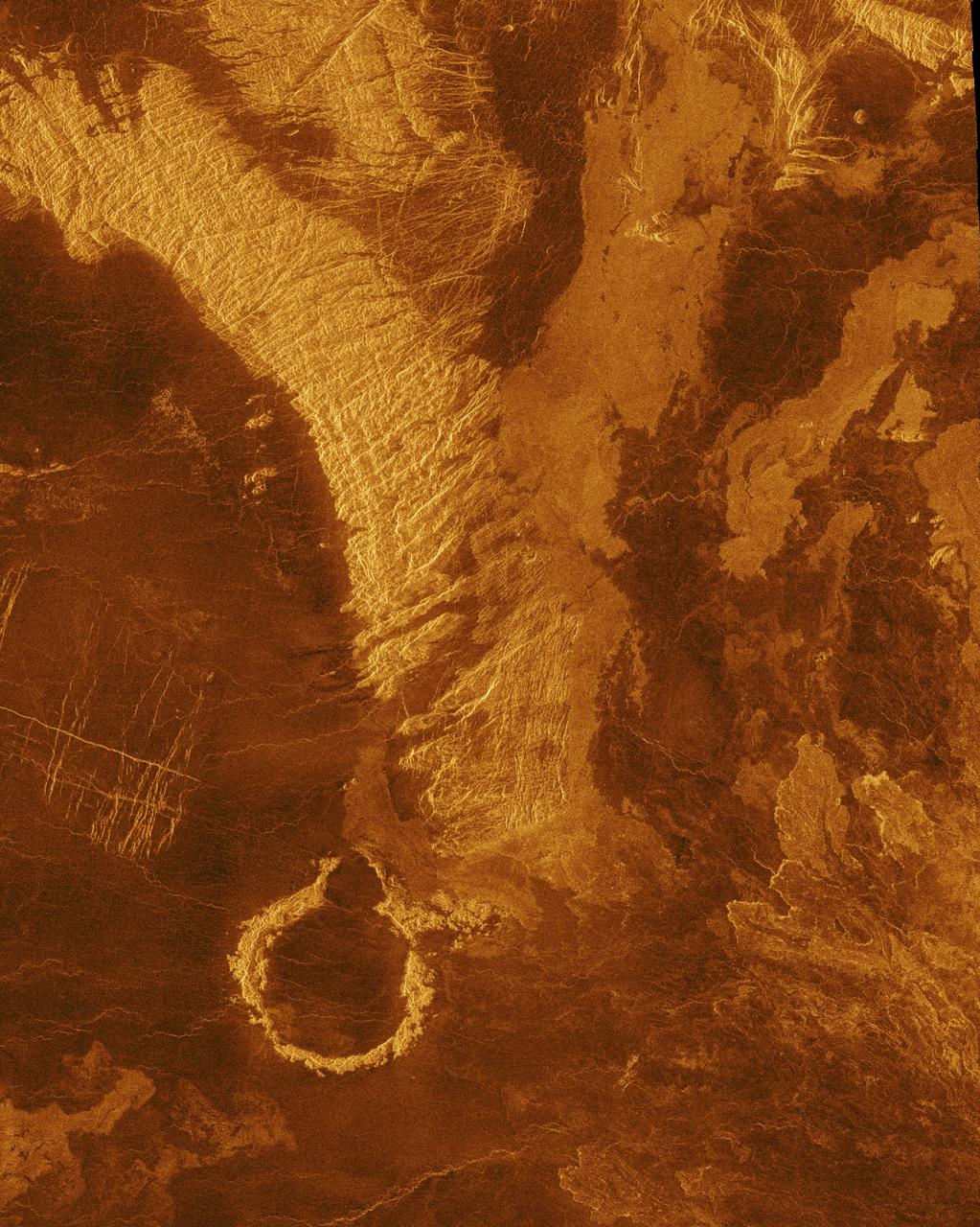 This false color image from NASA's Magellan spacecraft shows a portion of Leda Planitia plains in the northern hemisphere of Venus, centered at 41 degrees north latitude, 52 degrees east longitude. http://photojournal.jpl.nasa.gov/catalog/PIA00105