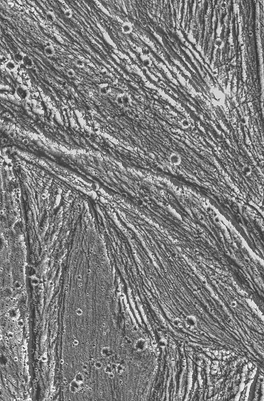 Ridges, grooves, craters and relatively smooth areas in the Uruk Sulcus region of Jupiter moon Ganymede are shown in this high-resolution image captured by NASA Galileo spacecraft during its first flyby of Ganymede on June 27, 1996.  http://photojournal.jpl.nasa.gov/catalog/PIA00276