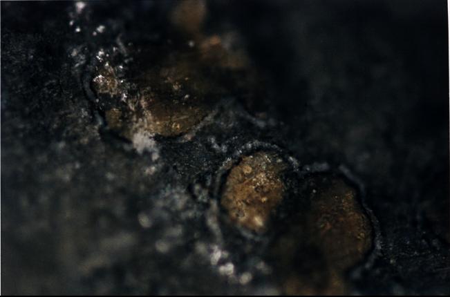 This photograph shows orange-colored carbonate mineral globules found in a meteorite, called ALH84001, believed to have once been a part of Mars.  http://photojournal.jpl.nasa.gov/catalog/PIA00290