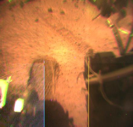 Rover Wheel & Tracks - Color