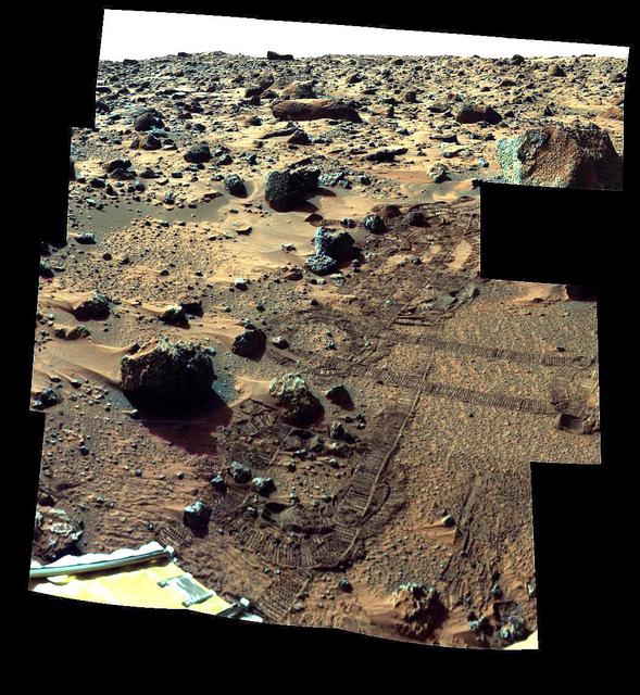"Barnacle Bill" and Surrounding from Super-Pan
