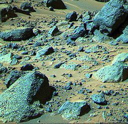 This false color composite image from the Pathfinder lander shows the rock "Shark" at upper right (Shark is about 0.69 m wide, 0.40 m high, and 6.4 m from the lander). The rock looks like a conglomerate in Sojourner rover images, but only the large elements of its surface textures can be seen here. This demonstrates the usefulness of having a robot rover geologist able to examine rocks up close.  http://photojournal.jpl.nasa.gov/catalog/PIA00986