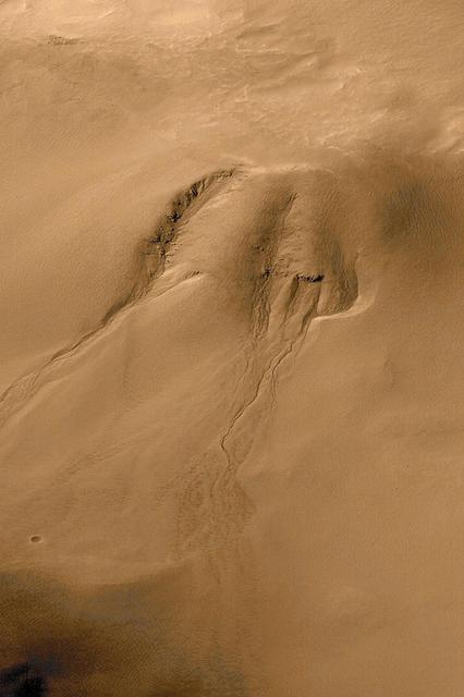 NASA image: Evidence for Recent Liquid Water on Mars: Gullies in Crater Wall, Noachis Terra