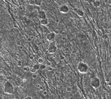 Secondary Craters on Ganymede