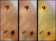 Lack of Visible Change Around Active Hotspots on Io