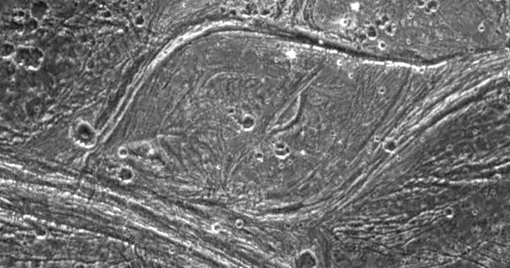 Complex Tectonism on Ganymede
