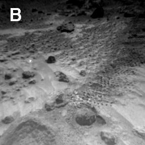 Sojourner Rover View of Well-Rounded Pebbles in Cabbage