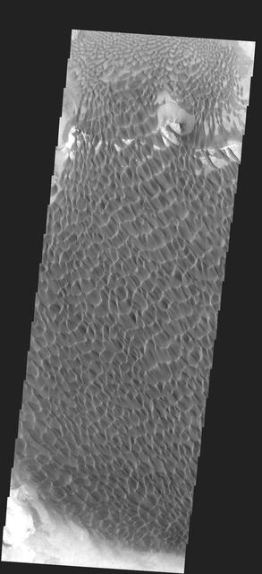 NASA image: Sand Dunes