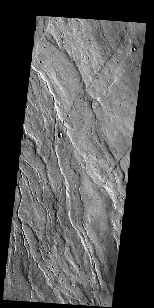 These lava flows and channels are part of Alba Patera, a large collapsed volcano in the Tharsis region