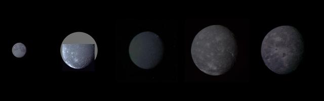 Montage of Uranus five largest satellites taken by NASA Voyager 2. From to right to left in order of decreasing distance from Uranus are Oberon, Titania, Umbriel, Ariel, and Miranda.