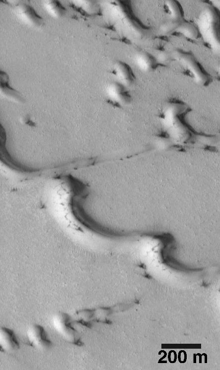 Evidence for Recent Wind Action on Martian Sand Dunes