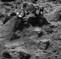 Sojourner Doing a Wheelie on Wedge - Right Eye