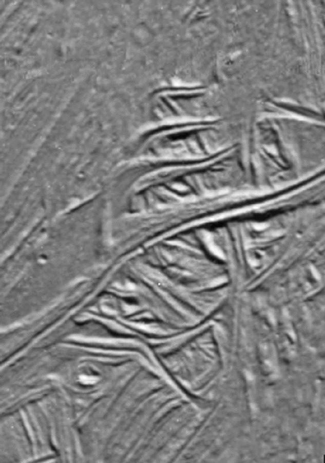 Cracks and Ridges Distorted by Europan Fault Motion