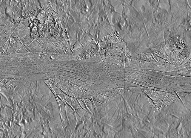 Agenor Linea at High Resolution