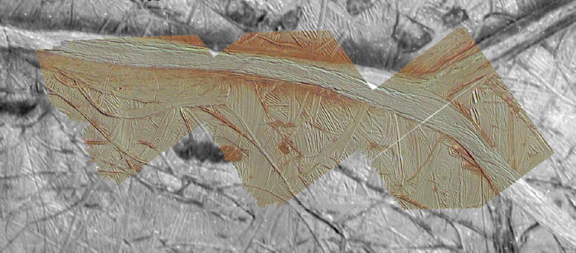 Agenor Linea in Color