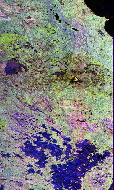 This image is a false-color composite of Raco, Michigan, centered at 46.39 degrees north latitude, 84.88 degrees west longitude. This image was acquired by the Spaceborne Imaging Radar-C and X-Band Synthetic Aperture Radar (SIR-C/X-SAR) aboard the space shuttle Endeavour on its sixth orbit and during the first full-capability test of the instrument on April 9, 1994.  This image was produced using both L-band and C-band data. The area shown is approximately 20 kilometers by 50 kilometers (12 by 30 miles). Raco is located at the eastern end of Michigan's upper peninsula, west of Sault Ste. Marie and south of Whitefish Bay on Lake Superior. The site is located at the boundary between the boreal forests and the northern temperate forests, a transitional zone that is expected to be ecologically sensitive to anticipated global changes resulting from climatic warming. On any given day, there is a 60 percent chance that this area will be obscured to some extent by cloud clover which makes it difficult to image using optical sensors.  http://photojournal.jpl.nasa.gov/catalog/PIA01700