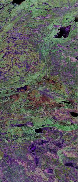 This is a false-color composite of Prince Albert, Canada, centered at 53.91 north latitude and 104.69 west longitude.