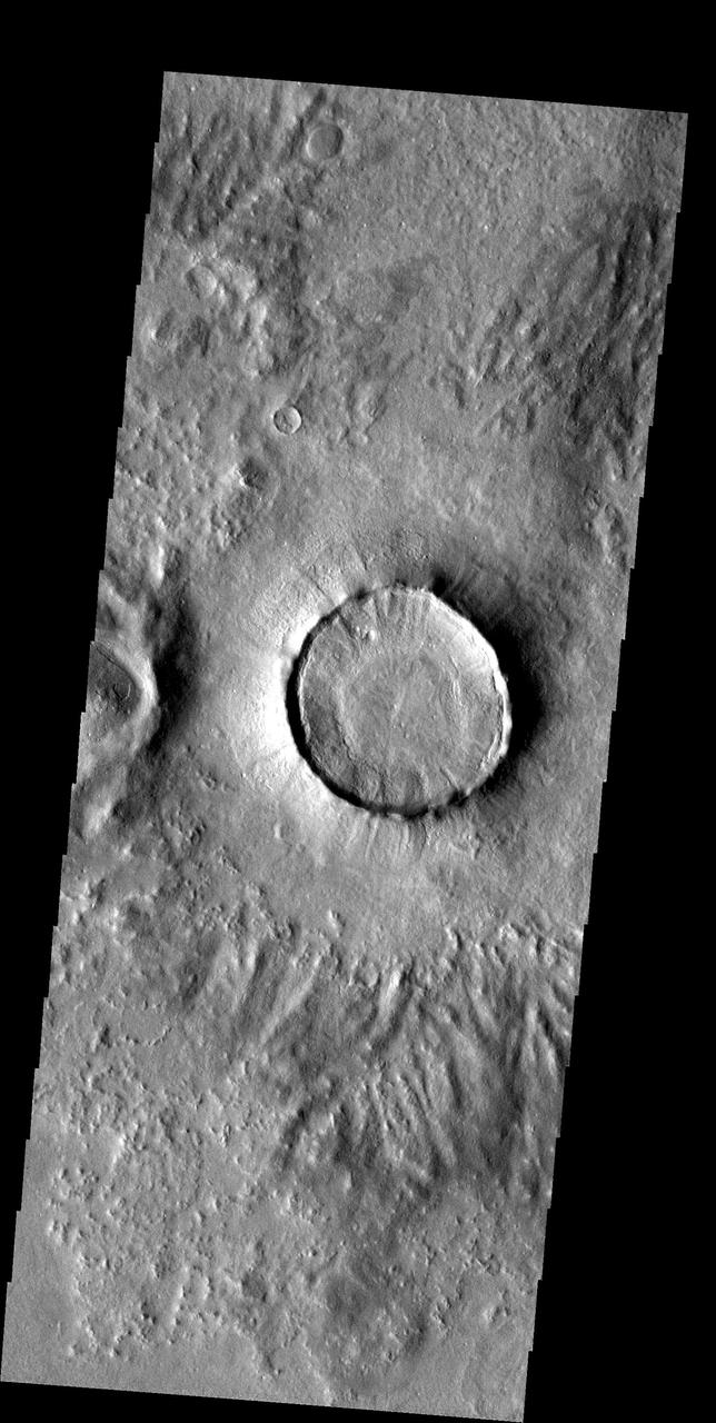 Many craters in the northern plains look like the one in this image -- interior filled almost to the rim, narrow and steep ejecta surrounding the rim, little or no remaining distant ejecta