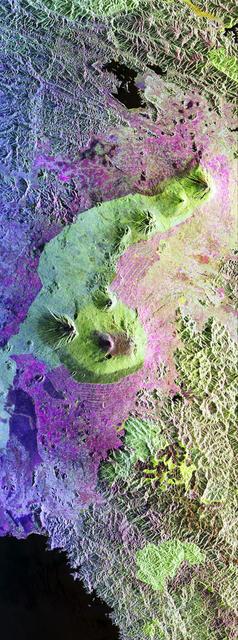 This is a false-color radar image of Central Africa, showing the Virunga Volcano chain along the borders of Rwanda, Zaire and Uganda. This area is home to the endangered mountain gorillas.  This C-band L-band image was acquired on April 12, 1994, on orbit 58 of space shuttle Endeavour by the Spaceborne Imaging Radar-C/X-band Synthetic Aperture Radar (SIR-C/X-SAR). The area is centered at about 1.75 degrees south latitude and 29.5 degrees east longitude. The image covers an area 58 kilometers by 178 kilometers (48 miles by 178 miles). The false-color composite is created by displaying the L-band HH return in red, the L-band HV return in green and the C-band HH return in blue. The dark area in the bottom of the image is Lake Kivu, which forms the border between Zaire (to the left) and Rwanda (to the right). The airport at Goma, Zaire is shown as a dark line just above the lake in the bottom left corner of the image. Volcanic flows from the 1977 eruption of Mt. Nyiragongo are shown just north of the airport. Mt. Nyiragongo is not visible in this image because it is located just to the left of the image swath. Very fluid lava flows from the 1977 eruption killed 70 people.   http://photojournal.jpl.nasa.gov/catalog/PIA01724