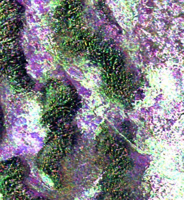 This radar image is of an area thought to contain the ruins of the ancient settlement of Niya. It is located in the southwestern corner of the Taklamakan Desert in China Sinjiang Province. This oasis was part of the famous Silk Road, an ancient trade route from one of China's earliest capitols, Xian, to the West.  The image shows a white linear feature trending diagonally from the upper left to the lower right. Scientists believe this newly [sic] discovered feature is a man-made canal which presumably diverted river waters toward the settlement of Niya for irrigation purposes.  The image was acquired by the Spaceborne Imaging Radar-C and X-band Synthetic Aperture Radar (SIR-C/X-SAR) aboard the space shuttle Endeavour on its 106th orbit on April 16, 1994, and is centered at 37.78 degrees north latitude and 82.41 degrees east longitude. The false-color radar image was created by displaying the C-band (horizontally transmitted and received) return in red, the L-band (horizontally transmitted and received) return in green, and the L-band (horizontally transmitted and vertically received) return in blue. Areas in mottled white and purple are low-lying floodplains of the Niya River. Dark green and black areas between river courses are higher ridges or dunes confining the water flow.  http://photojournal.jpl.nasa.gov/catalog/PIA01725