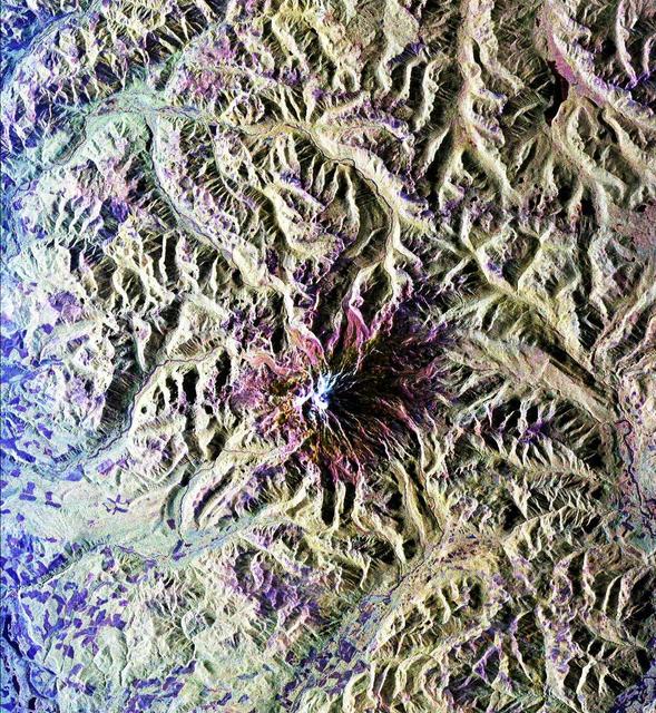 This is a radar image of Mount Rainier in Washington state. The volcano last erupted about 150 years ago and numerous large floods and debris flows have originated on its slopes during the last century. Today the volcano is heavily mantled with glaciers and snowfields. More than 100,000 people live on young volcanic mudflows less than 10,000 years old and, consequently, are within the range of future, devastating mudslides.  This image was acquired by the Spaceborne Imaging Radar-C and X-band Synthetic Aperture Radar (SIR-C/X-SAR) aboard the space shuttle Endeavour on its 20th orbit on October 1, 1994. The area shown in the image is approximately 59 kilometers by 60 kilometers (36.5 miles by 37 miles). North is toward the top left of the image, which was composed by assigning red and green colors to the L-band, horizontally transmitted and vertically, and the L-band, horizontally transmitted and vertically received. Blue indicates the C-band, horizontally transmitted and vertically received. In addition to highlighting topographic slopes facing the space shuttle, SIR-C records rugged areas as brighter and smooth areas as darker. The scene was illuminated by the shuttle's radar from the northwest so that northwest-facing slopes are brighter and southeast-facing slopes are dark. Forested regions are pale green in color; clear cuts and bare ground are bluish or purple; ice is dark green and white.  The round cone at the center of the image is the 14,435-foot (4,399-meter) active volcano, Mount Rainier. On the lower slopes is a zone of rock ridges and rubble (purple to reddish) above coniferous forests (in yellow/green). The western boundary of Mount Rainier National Park is seen as a transition from protected, old-growth forest to heavily logged private land, a mosaic of recent clear cuts (bright purple/blue) and partially regrown timber plantations (pale blue). The prominent river seen curving away from the mountain at the top of the image (to the northwest) is the White River, and the river leaving the mountain at the bottom right of the image (south) is the Nisqually River, which flows out of the Nisqually glacier on the mountain. The river leaving to the left of the mountain is the Carbon River, leading west and north toward heavily populated regions near Tacoma. The dark patch at the top right of the image is Bumping Lake. Other dark areas seen to the right of ridges throughout the image are radar shadow zones. Radar images can be used to study the volcanic structure and the surrounding regions with linear rock boundaries and faults. In addition, the recovery of forested lands from natural disasters and the success of reforestation programs can also be monitored. Ultimately this data may be used to study the advance and retreat of glaciers and other forces of global change.  http://photojournal.jpl.nasa.gov/catalog/PIA01727