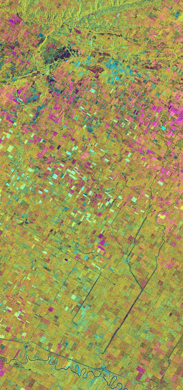 This is an X-band seasonal image of the Altona test site in Manitoba, Canada, about 80 kilometers (50 miles) south of Winnipeg. The image is centered at approximately 49 degrees north latitude and 97.5 degrees west longitude.  This image was acquired by the Spaceborne Imaging Radar-C and X-band Synthetic Aperture Radar (SIR-C/X-SAR) aboard the space shuttle Endeavour on April 11, 1994, during the first flight of the radar system, and on October 2, 1994, during the second flight of SIR-C/X-SAR. The image channels have the following color assignments: red represents data acquired on April 11, 1994; green represents data acquired on October 2, 1994; blue represents the ratio of the two data sets. The test site is located in the Red River Basin and is characterized by rich farmland where a variety of crops are grown, including wheat, barley, canola, corn, sunflowers and sugar beets. This SIR-C/X-SAR research site is applying radar remote sensing to study the characteristics of vegetation and soil moisture.  The seasonal comparison between the April and October 1994 data show the dramatic differences between surface conditions on the two dates. At the time of the April acquisition, almost all agricultural fields were bare and soil moisture levels were high. In October, however, soils were drier and while most crops had been harvested, some standing vegetation was still present. The areas which are cyan in color are dark in April and bright in October. These represent fields of standing biomass (amount of vegetation in a specified area) and the differences in brightness within these cyan fields represent differences in vegetation type. The very bright fields in October represent standing broadleaf crops such as corn, which had not yet been harvested. Other standing vegetation which has less biomass, such as hay and grain fields, are less bright. The magenta indicates bare soil surfaces which were wetter (brighter) in April than in October. The variations in brightness of the magenta indicate differences in the degree of soil moisture change and differences in surface roughness. This seasonal composite demonstrates the sensitivity of radar to changes in agricultural surface conditions such as soil moisture, tillage, cropping and harvesting.  http://photojournal.jpl.nasa.gov/catalog/PIA01742