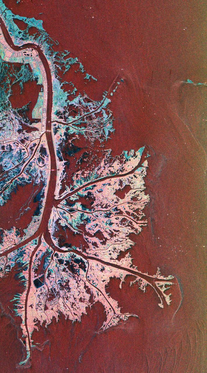 This is a radar image of the Mississippi River Delta where the river enters into the Gulf of Mexico along the coast of Louisiana. This multi-frequency image demonstrates the capability of the radar to distinguish different types of wetlands surfaces in river deltas. This image was acquired by the Spaceborne Imaging Radar-C/X-Band Synthetic Aperture Radar (SIR-C/X-SAR) aboard the space shuttle Endeavour on October 2, 1995. The image is centered on latitude 29.3 degrees North latitude and 89.28 degrees West longitude. The area shown is approximately 63 kilometers by 43 kilometers (39 miles by 26 miles). North is towards the upper right of the image.  As the river enters the Gulf of Mexico, it loses energy and dumps its load of sediment that it has carried on its journey through the mid-continent. This pile of sediment, or mud, accumulates over the years building up the delta front. As one part of the delta becomes clogged with sediment, the delta front will migrate in search of new areas to grow. The area shown on this image is the currently active delta front of the Mississippi. The migratory nature of the delta forms natural traps for oil and the numerous bright spots along the outside of the delta are drilling platforms. Most of the land in the image consists of mud flats and marsh lands. There is little human settlement in this area due to the instability of the sediments. The main shipping channel of the Mississippi River is the broad red stripe running northwest to southeast down the left side of the image. The bright spots within the channel are ships. The colors in the image are assigned to different frequencies and polarizations of the radar as follows: red is L-band vertically transmitted, vertically received; green is C-band vertically transmitted, vertically received; blue is X-band vertically transmitted, vertically received.  http://photojournal.jpl.nasa.gov/catalog/PIA01784