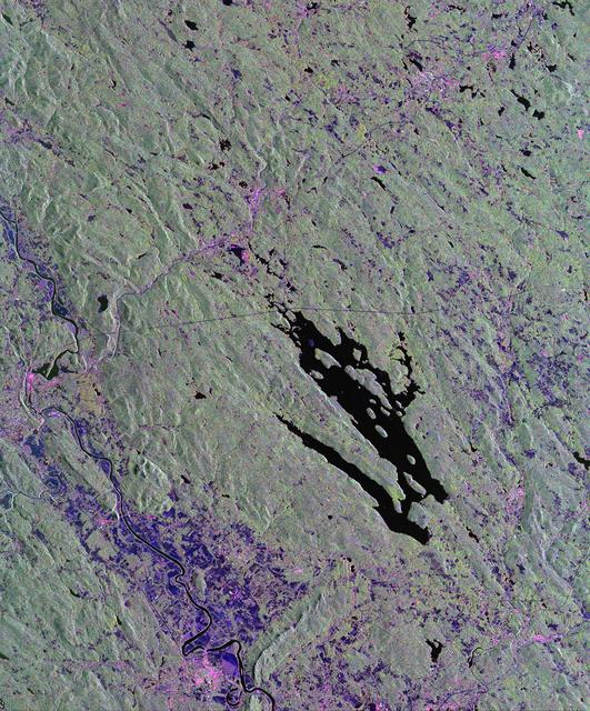 NASA image: Space Radar Image of Harvard Forest