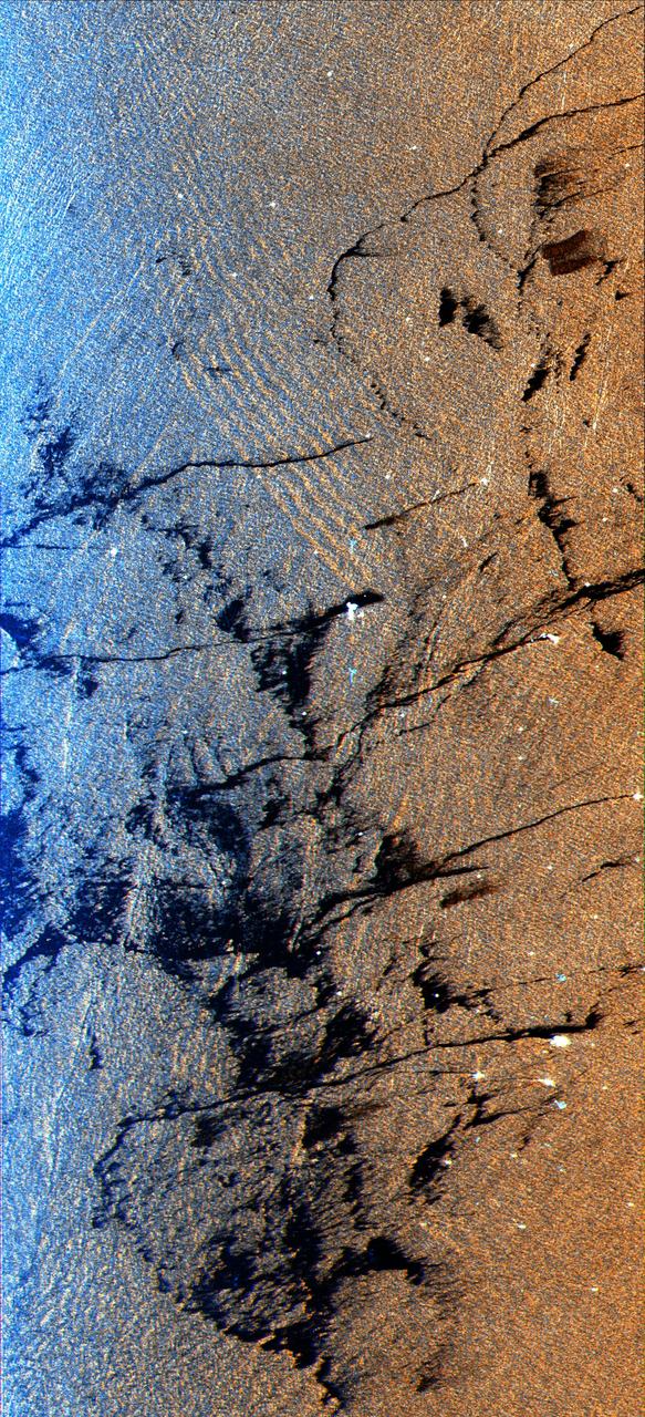 This is a radar image of an offshore drilling field about 150 km 93 miles west of Bombay, India, in the Arabian Sea. The dark streaks are extensive oil slicks surrounding many of the drilling platforms, which appear as bright white spots.