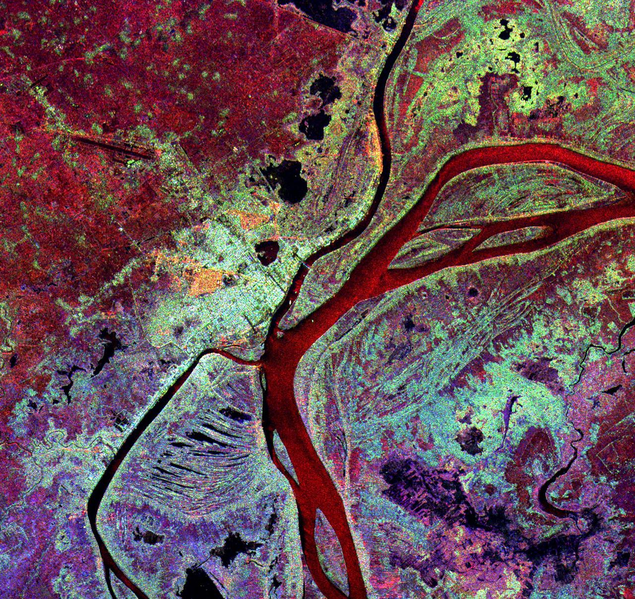 This spaceborne radar image shows the city of Phnom Penh, the capital of Cambodia. Phnom Penh lies at the confluence of the Mekong River and the Basak Sab.