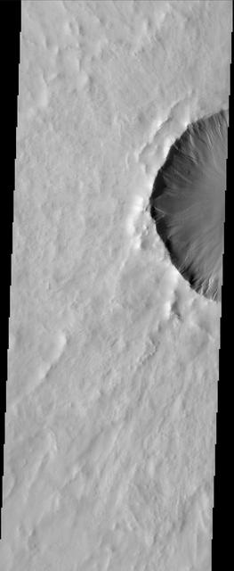 Gullies occur on the rim of this northern plains crater