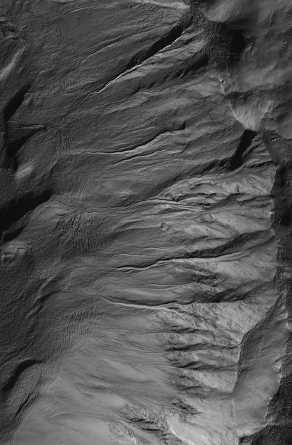 NASA image: Sharp View of Gullies in Southern Winter