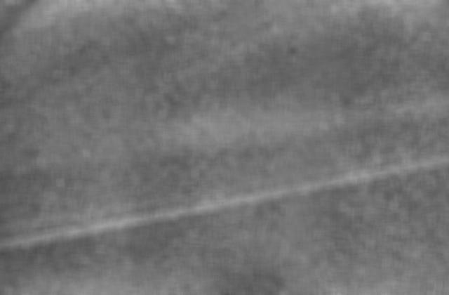 NASA Voyager 2 took this wide-angle image of Uranus rings as the spacecraft neared the plane of the rings less than an hour before closest approach to the planet.