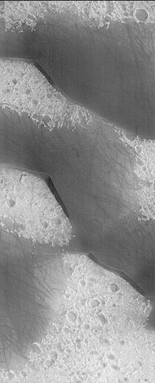 Big, Dark Dunes Northeast of Syrtis Major