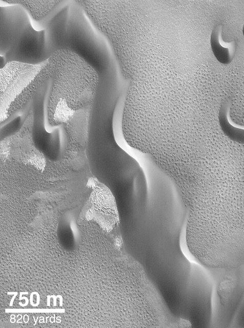 NASA image: North Polar Sand Dunes